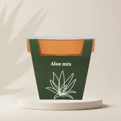 pestovatelsky set aloe mix semena sukulentov izbove rastliny