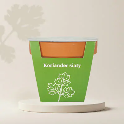 pestovatelsky set koriander siaty semena semienka byliniek