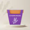 Pestovateľský set Levanduľa lekárska semienka levandula lekarska lavandula angustifolia zo semien semena byliniek pestovatelsky set