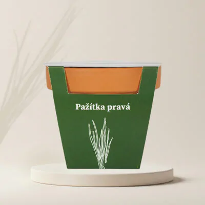 pestovatelsky set pazitka prava bylinka semienka zo semien