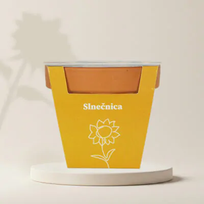 semienka slnecnica pestovatelsky set semienka kvetov pestovanie zo semien