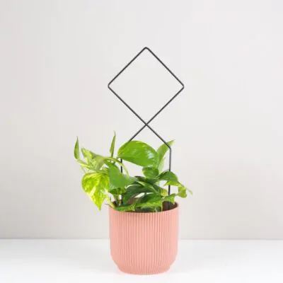 dekorativna opora pro rastliny kosostvorec kovova oporna tyc ku kvetom