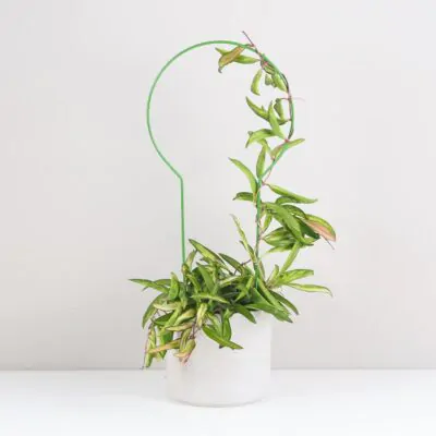 Izbové rastliny, riasogule a príslušenstvo dekorativna opora pre rastliny kruh stredny kovova oporna tyc ku kvetom