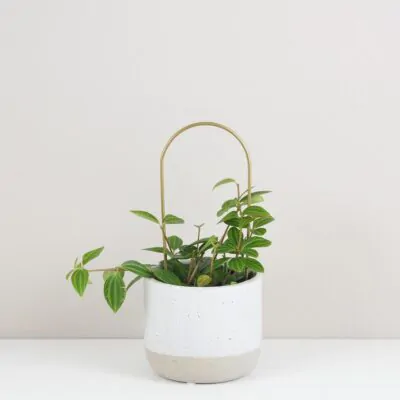 dekorativna opora pre rastliny obluk maly kovova oporna tyc ku kvetom