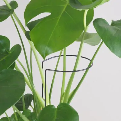 dekorativna opora pre rastliny obruc kovova oporna tyc ku kvetom