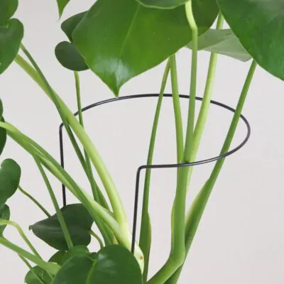 dekorativna opora pre rastliny obruc kovova oporna tyc ku kvetom