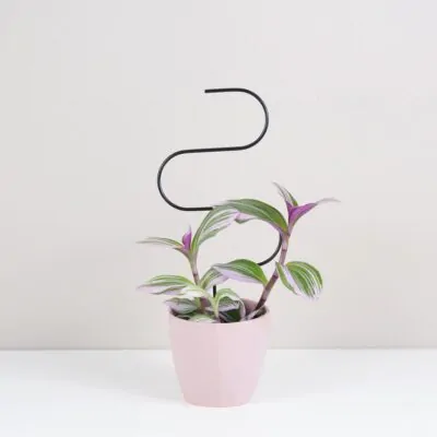 dekorativna opora pre rastliny vlnka mala kovova oporna tyc ku kvetom