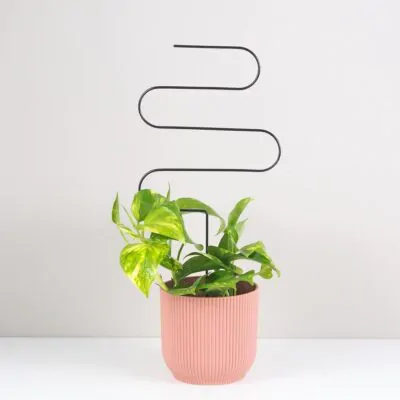 Izbové rastliny, riasogule a príslušenstvo dekorativna opora pre rastliny vlnka velka kovova oporna tyc ku kvetom