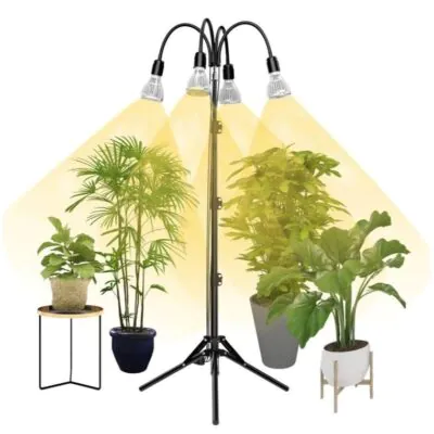 10 dôvodov prečo žltnú listy izbových rastlín a ako tomu predísť sansi led grow light svietidlo na stojane 120 w