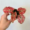 Caladium ‘Fire Phoenix’ mini caladium Fire Phoenix cervena izbova rastlina